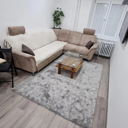 Apartment In Greater Downtown Area